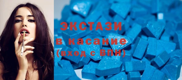 крисы Бородино