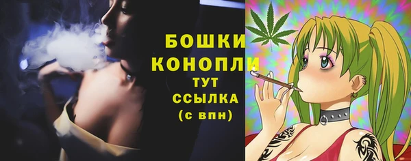 прущий лед Верея
