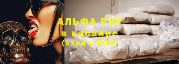 крисы Бородино