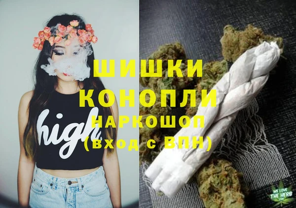 дмт Бронницы