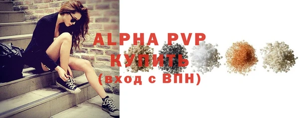крисы Бородино