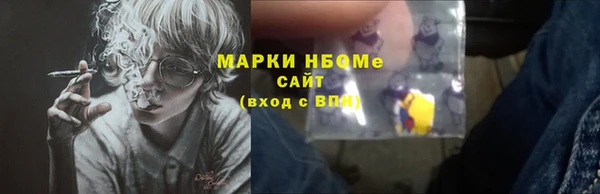 крисы Бородино