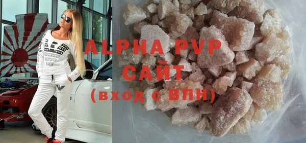 крисы Бородино