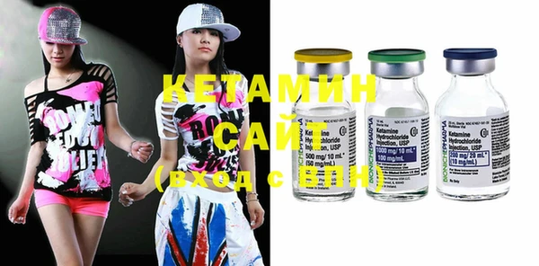 крисы Бородино