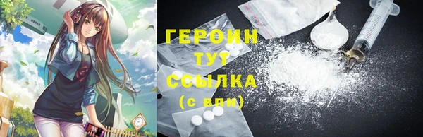 крисы Бородино