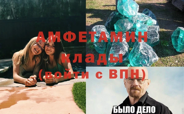 крисы Бородино